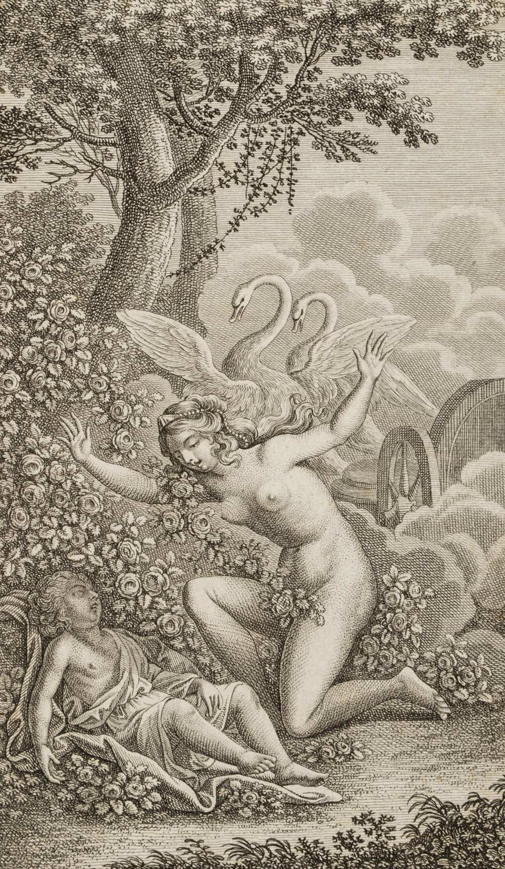 Venus beim toten Adonis