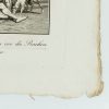 Ansicht 5