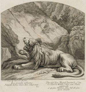 Der lauernde Löwe