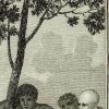 Ansicht 5