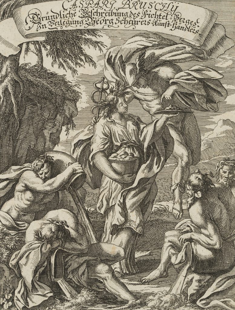 Werk von Johannes Meyer d. J.