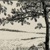 Ansicht 5