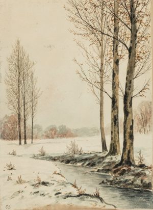 CS, Bachlauf in verschneiter Landschaft