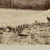 Ansicht 4