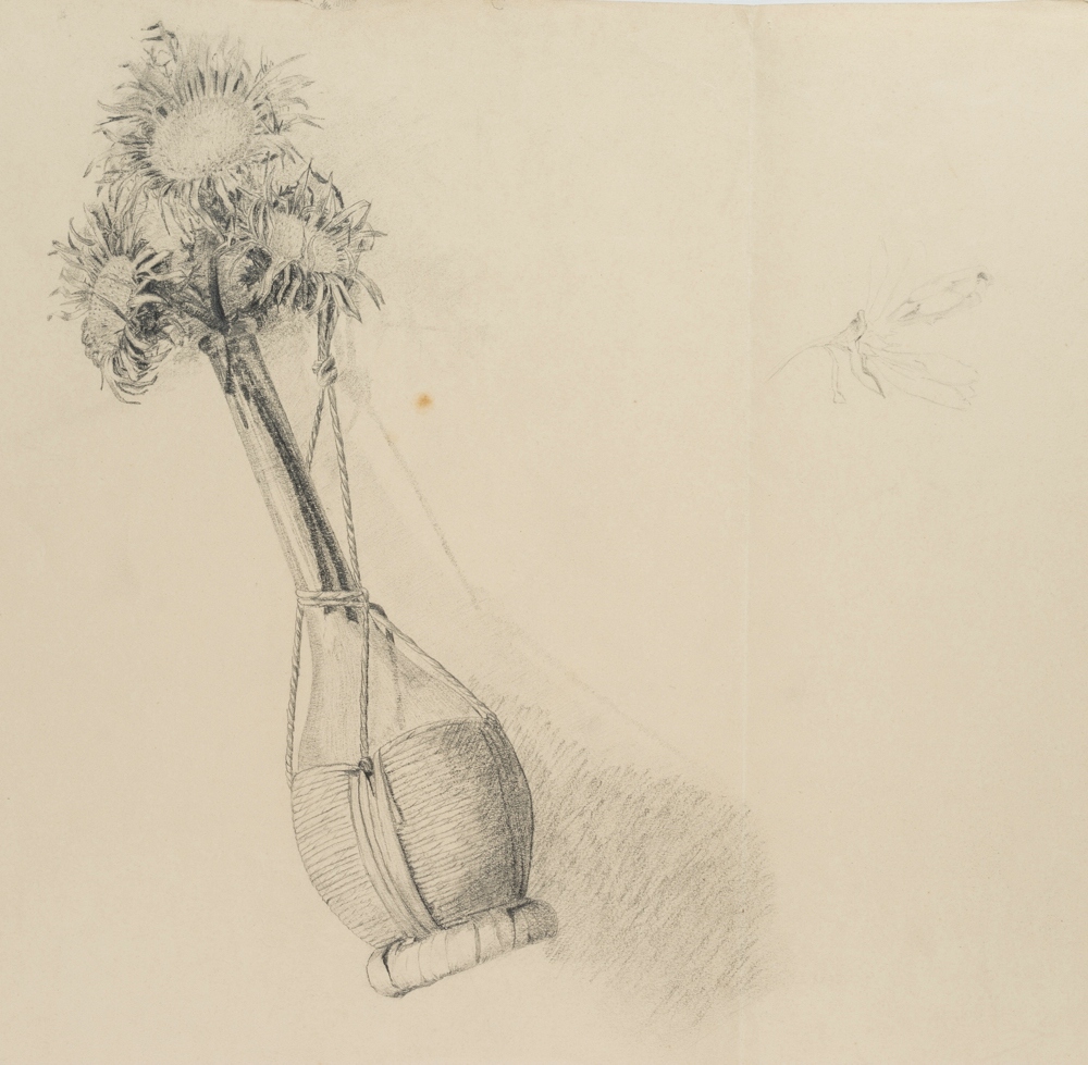 Verblühende Wildblumen