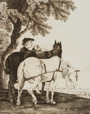 Bauernpferde am Waldrand, England