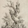 Ansicht 1