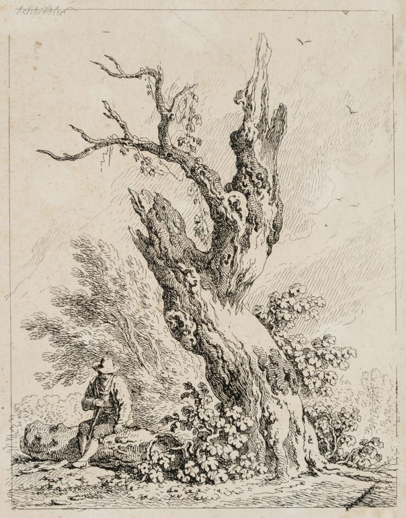 Werk von Anton Joseph Schindler