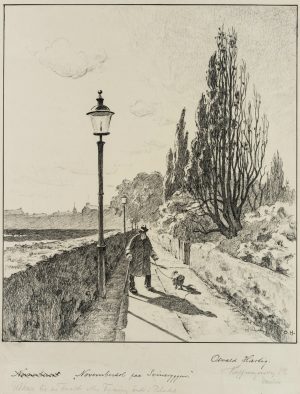 Novembersonne auf Svineryggen, Kopenhagen