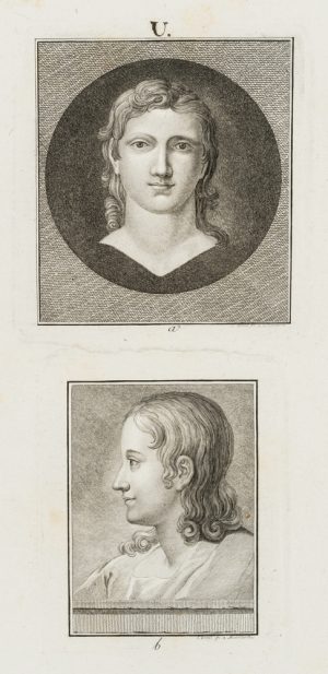 2 Porträts eines Jünglings