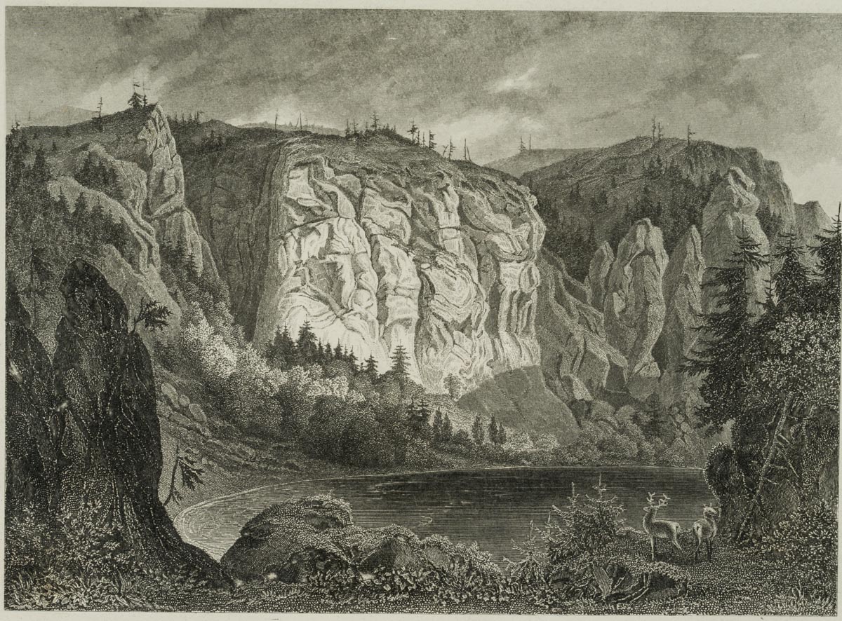 Ansicht von Feldsee, Feldberg