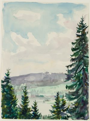 Blick über den Titisee im Breisgau