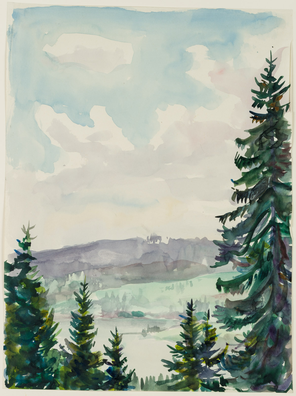Blick über den Titisee im Breisgau