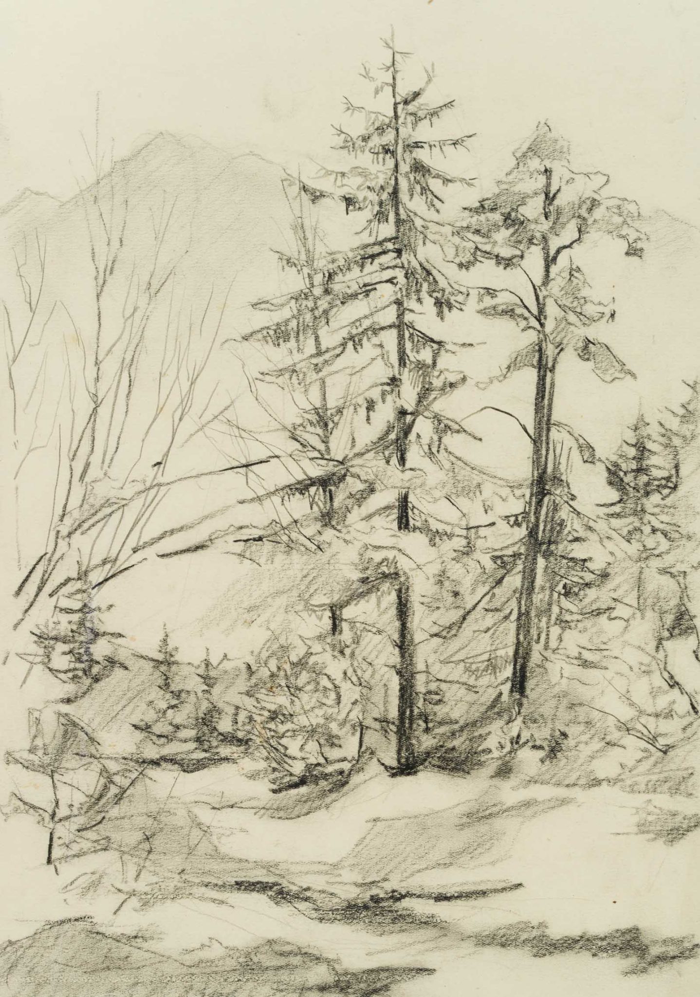 Baumgruppe in alpiner Landschaft