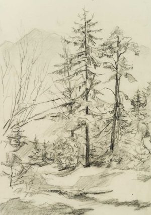Baumgruppe in alpiner Landschaft