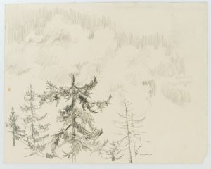Alpine Landschaft