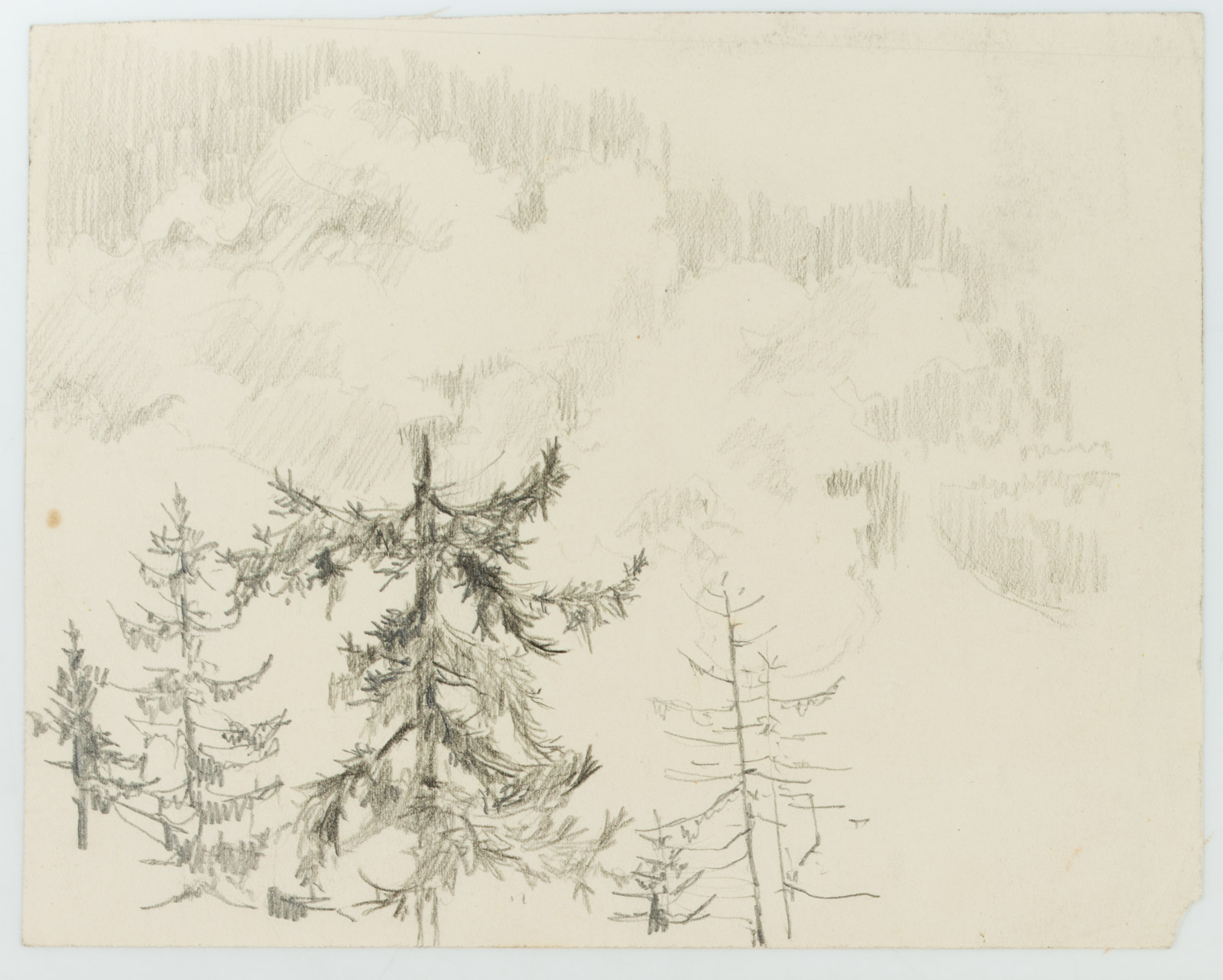 Alpine Landschaft