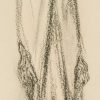 Ansicht 4
