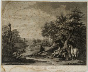 Erfolg bei der Jagd