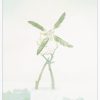 Ansicht 1