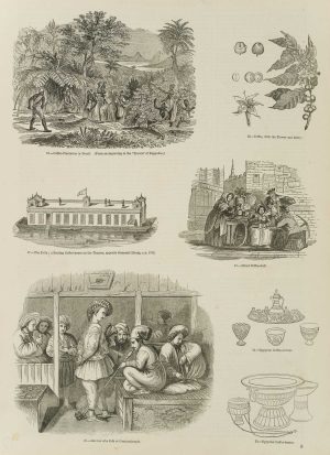 Kaffeeanbau und -verzehr