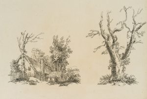 Gehöft und Baumstudie