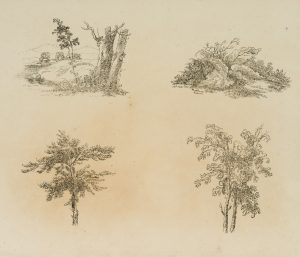 Vier Natur- und Landschaftsstudien