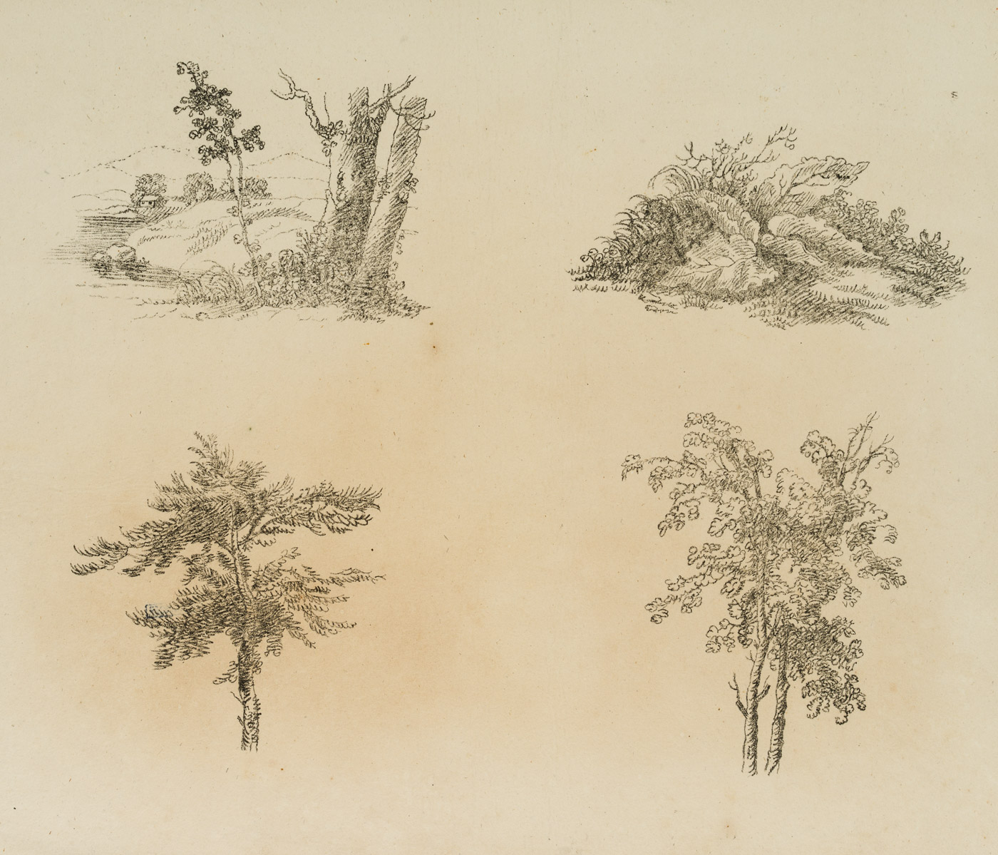 Vier Natur- und Landschaftsstudien