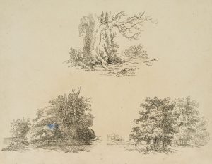 Drei Naturstudien