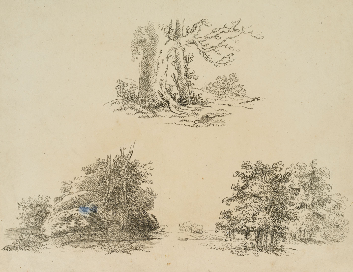 Drei Naturstudien