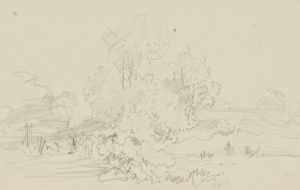 Landschaft mit Bäumen