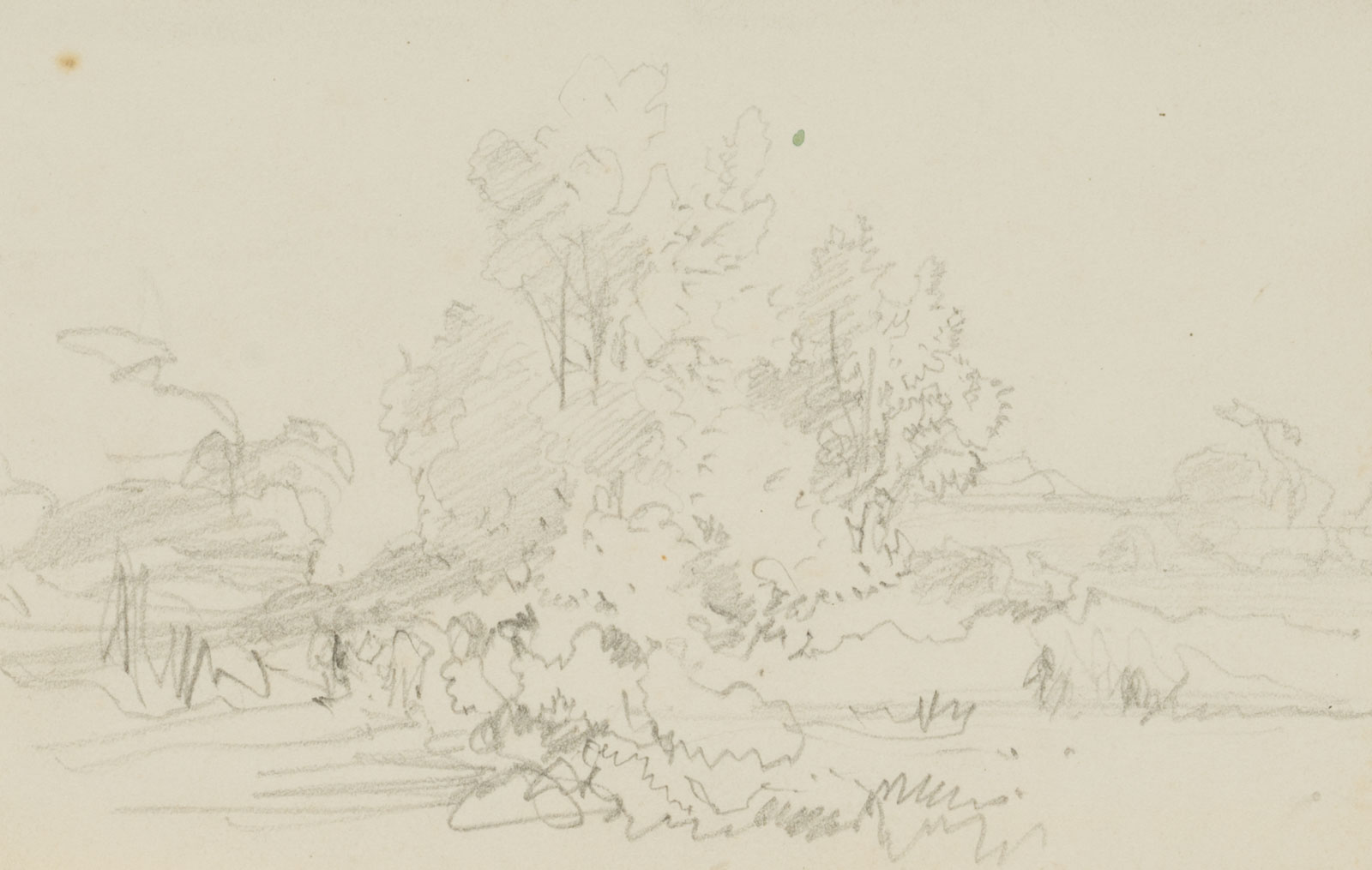 Landschaft mit Bäumen