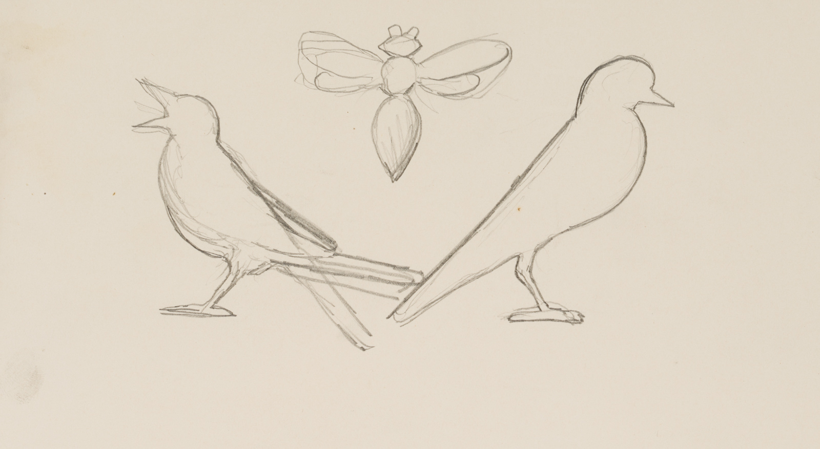 Vögel und Wespe