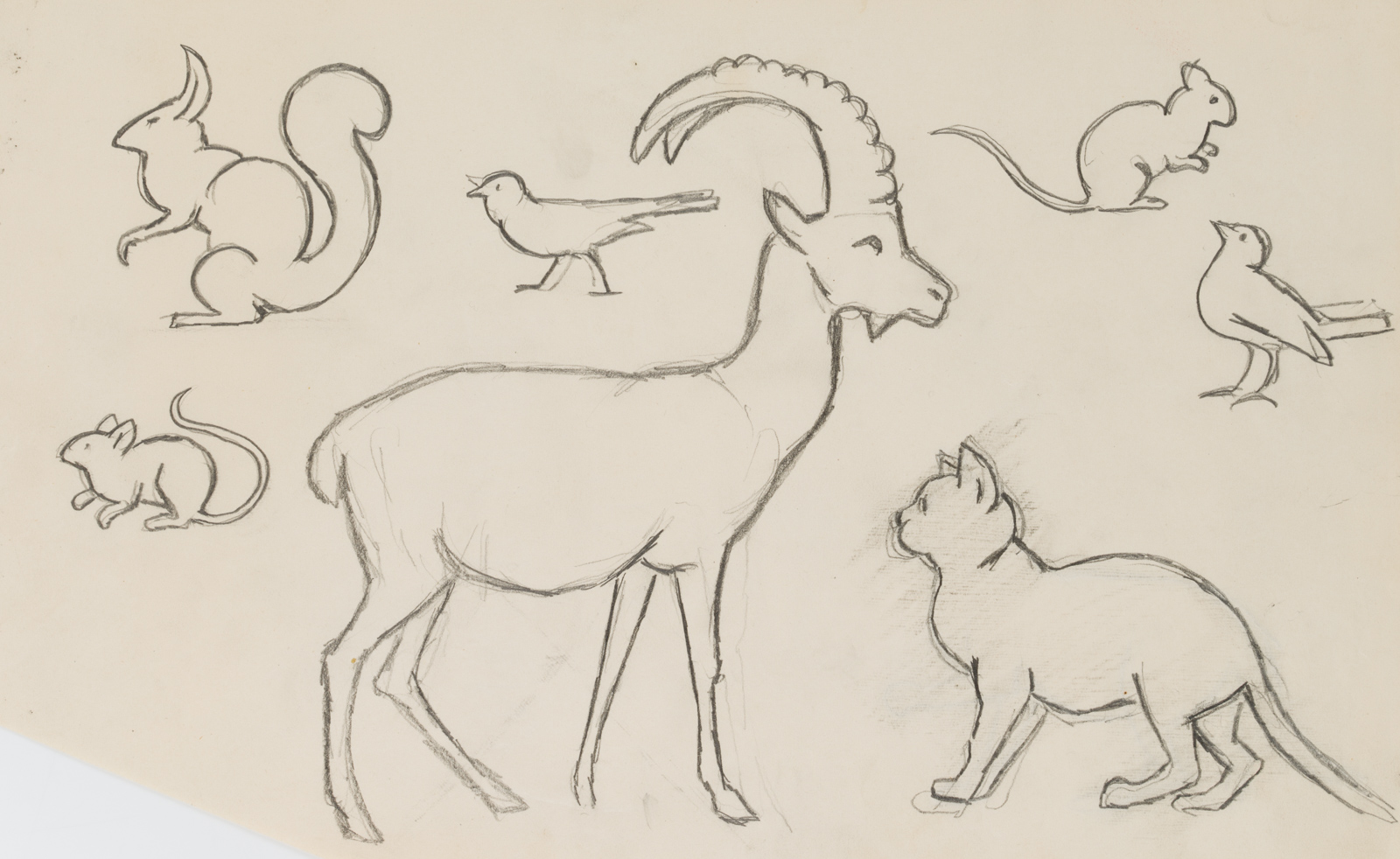 Steinbock, Katze, Eichhörnchen, Tiere