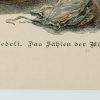 Ansicht 4