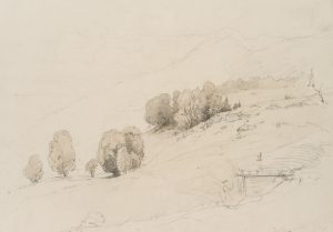 Hügellandschaft mit Bäumen