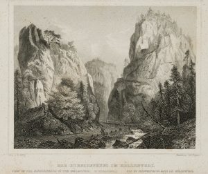 Der Hirschsprung
