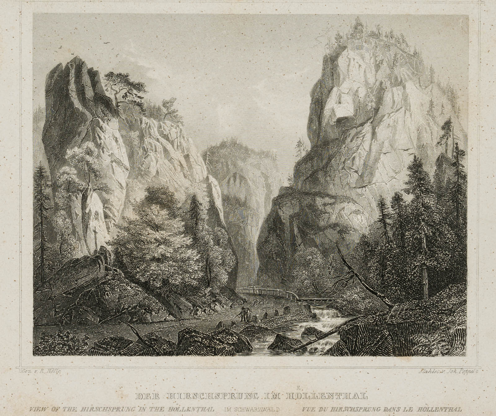 Der Hirschsprung