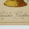 Ansicht 4