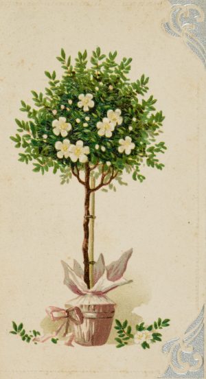 Jugendstil Hochzeits-Glückwünsche