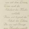 Ansicht 3
