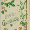 Ansicht 1