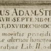 Ansicht 4