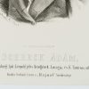 Ansicht 4
