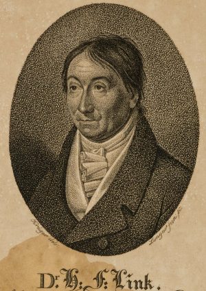 Porträt d. Heinrich F. Link