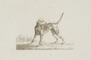 Stehender Hund in Seitenansicht