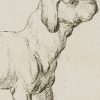 Ansicht 4