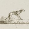 Ansicht 1