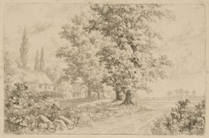 Alte Eichen am Skaridsö