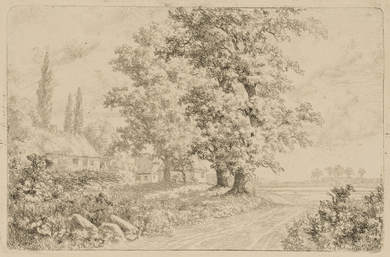 Alte Eichen am Skaridsö